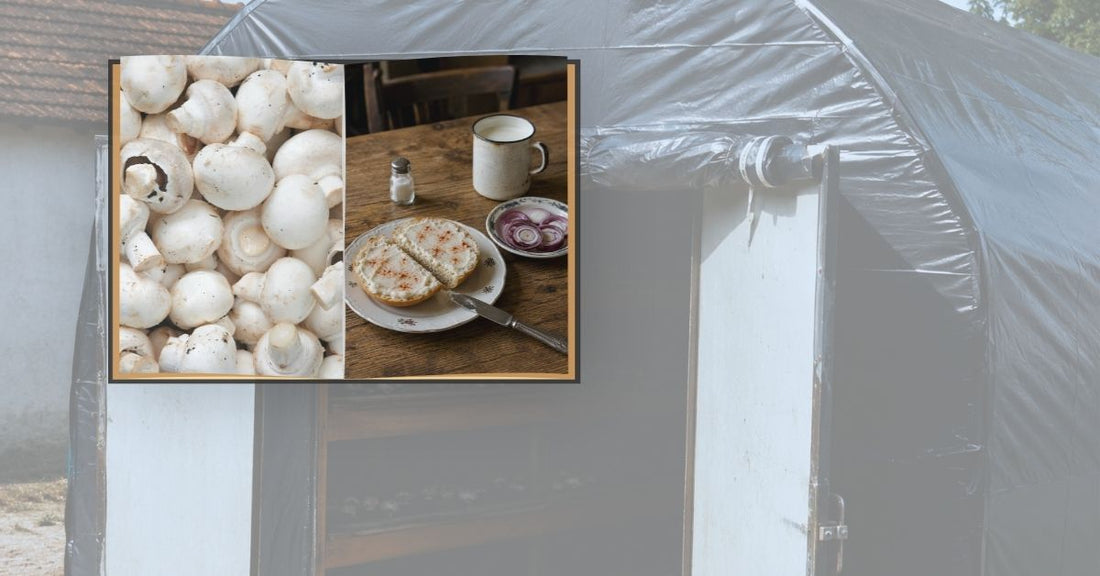 A dramatic collage featuring the dark entrance of a black plastic mushroom-growing tent, contrasted with a close-up of fresh white button mushrooms and a humble meal of a lard-spread roll with a cup of milk on a rustic wooden table.